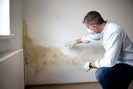 Mold Documentation for Insurance Claims in Pagosa Springs, CO